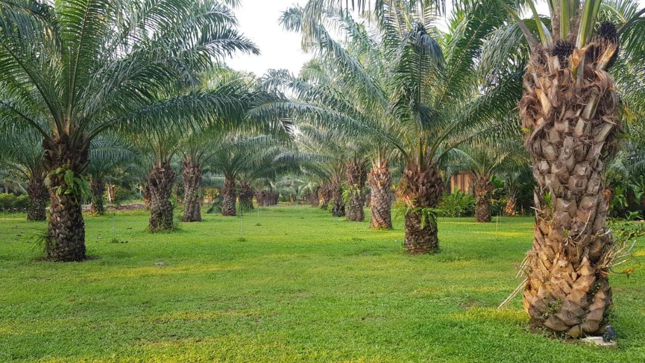 פראן בורי Palm Pran Resort מראה חיצוני תמונה
